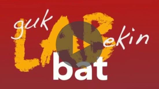 Guk LABekin bat. 2010-2014 iruditan