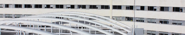 Osasunbidea: etxea teilatutik hasita