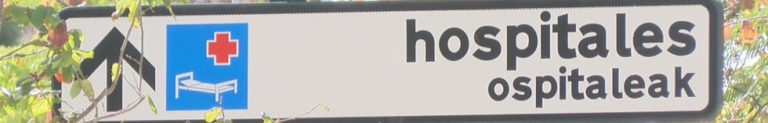 Osasunbidean euskararako baliabide falta salatu dugu