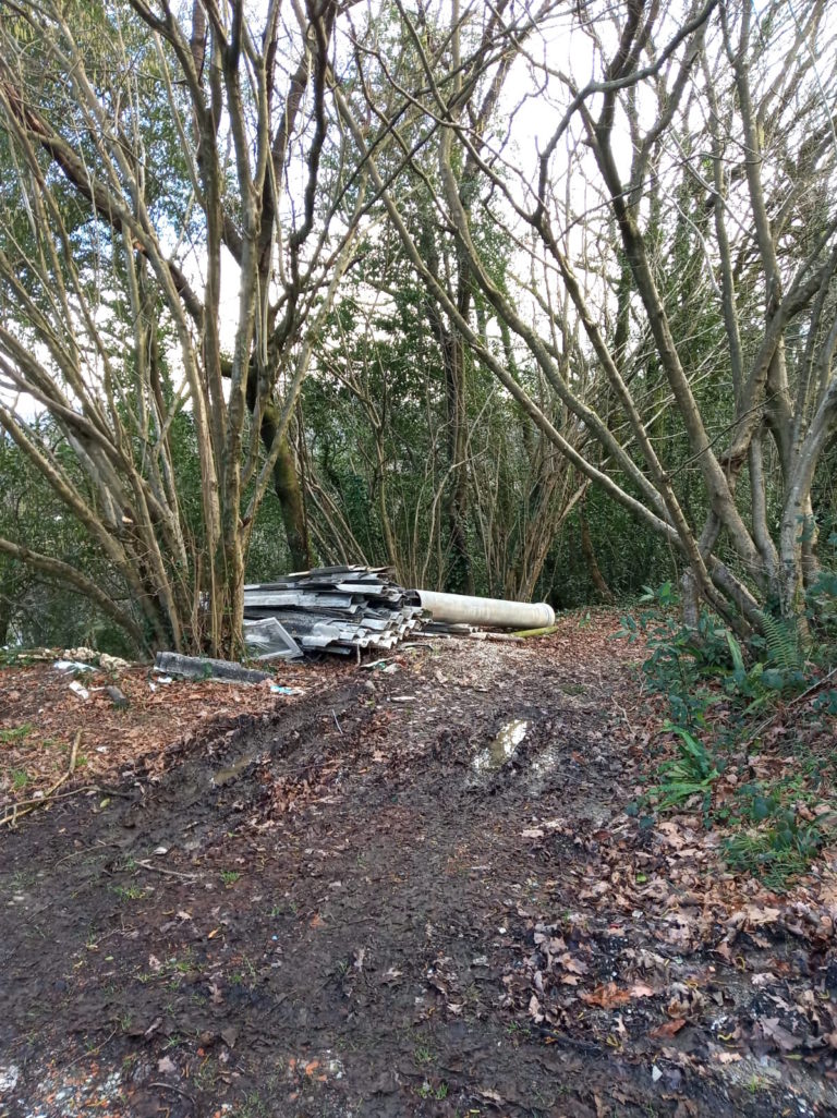 Hemos denunciado en el ayuntamiento de Donostia la presencia de residuos con amianto en Martutene