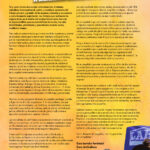 BorrokaSindikalFeministaAurrera_eskuorria