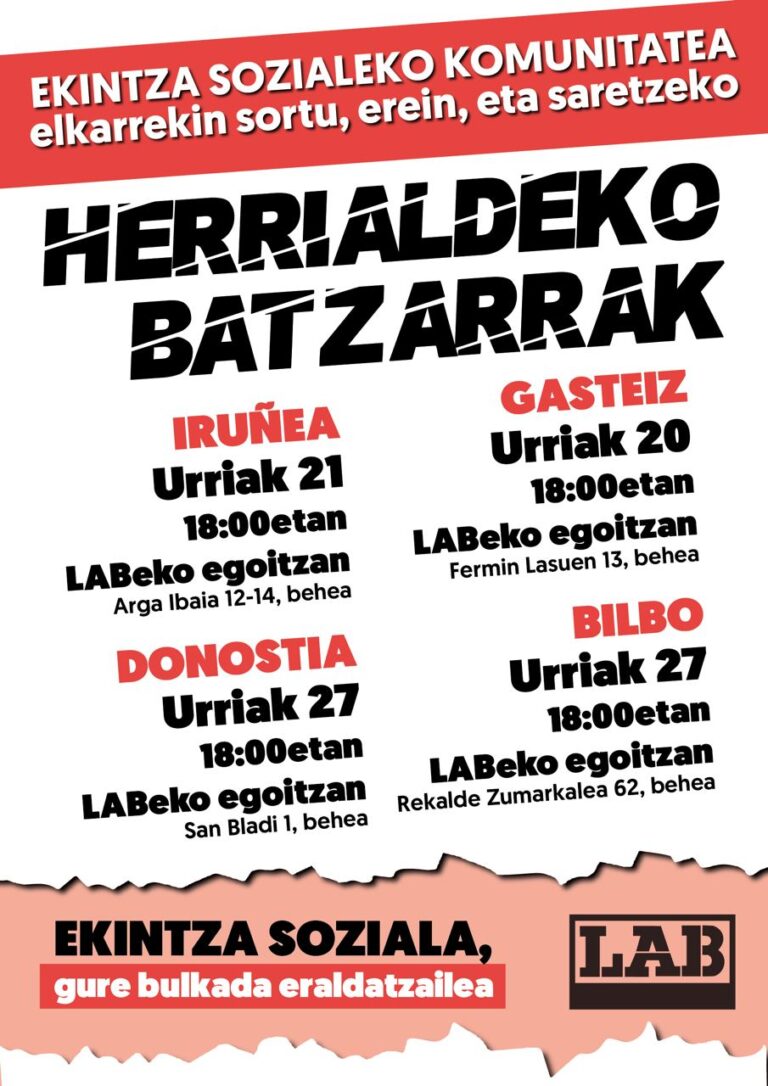 Hemos convocado asambleas por herrialdes para profundizar en la creación y redimensionamiento de la comunidad de acción social