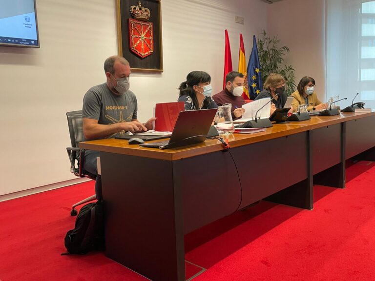 Hemos reivindicado en el Parlamento de Nafarroa la regulación del sector de Técnicos de Cultura