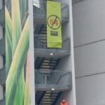 photo16741346581-copia