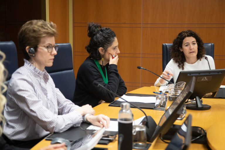 La Ley de Empleo de la CAV no tiene vocación de dar pasos hacia un marco propio