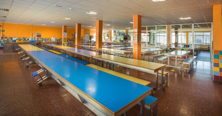 LAB sindikatuak Serunion enpresak El Regato ikastetxeko jangelako langileak kriminalizatu izana salatzen du, bazkarian elementu arrotzak aurkitu ostean