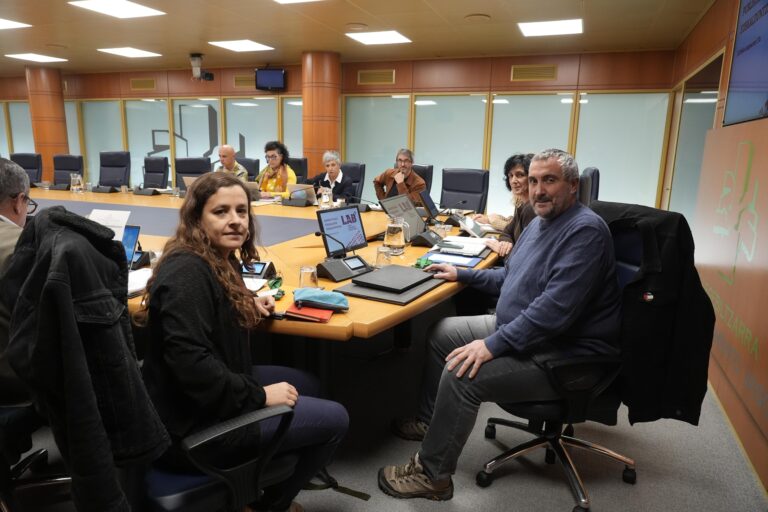 LABek administrazioan euskararen egoera gaztelerarenaren pare jartzeko exijitu du Enplegu Publikoaren Legea aldatzeko Eusko Legebiltzarraren batzordean 