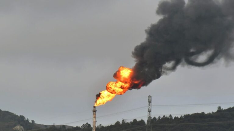 LABek Petronorren jarduera gelditzea eskatu du Muskizko bentzeno-ihesaren ondorioz